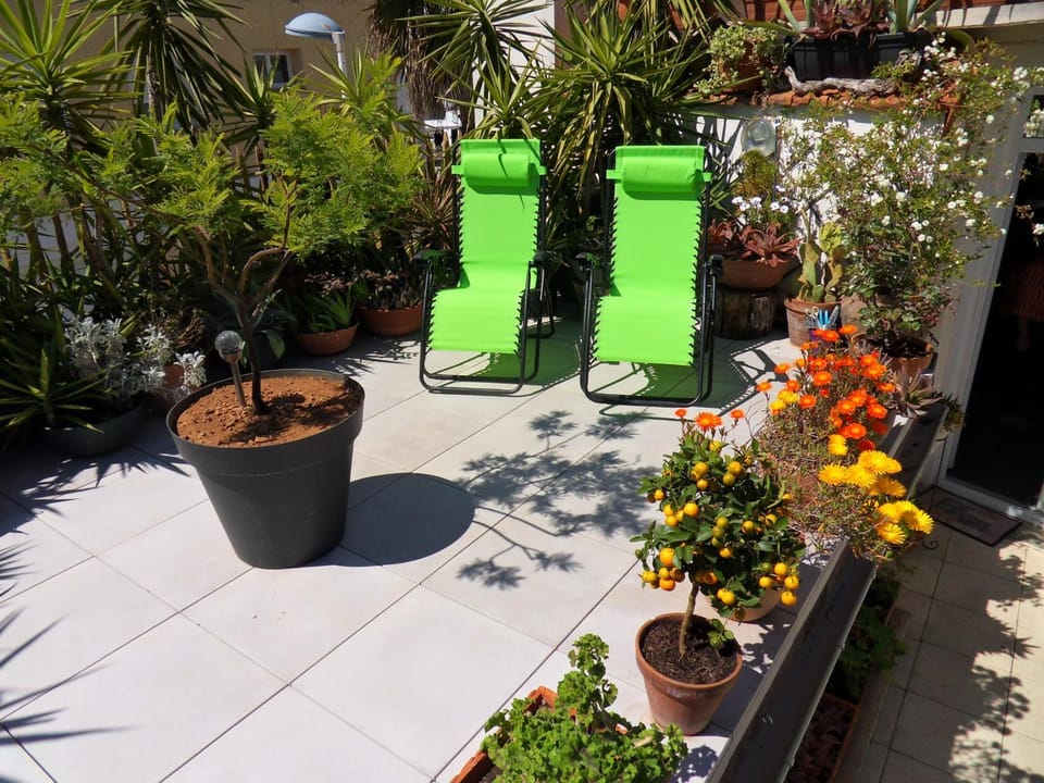 Patio, Garden view, sunbed