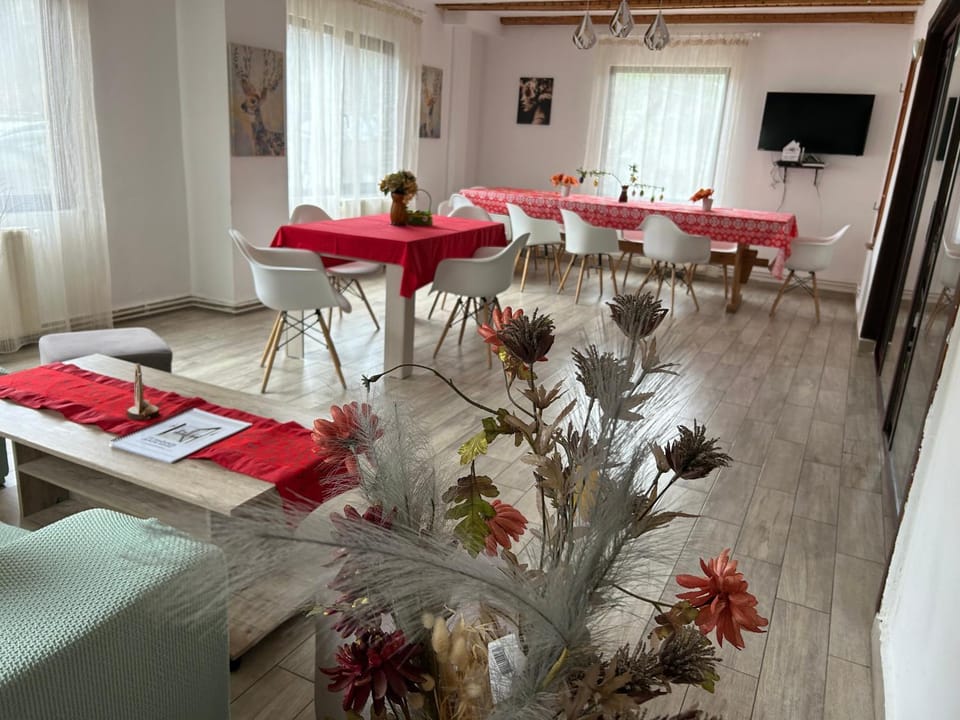 Vila Monica House in Bran