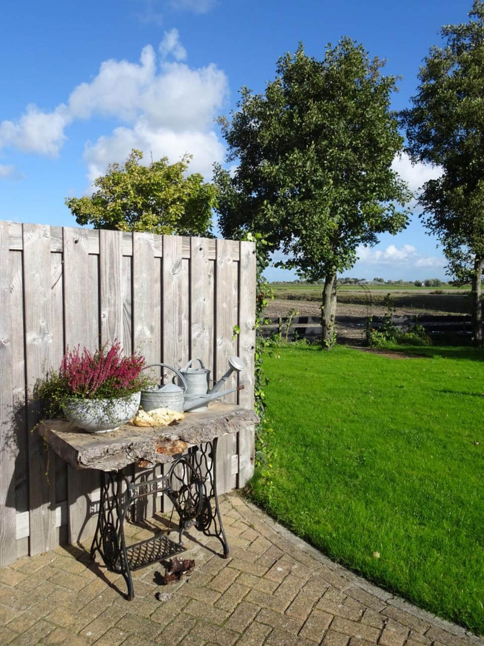 Garden view