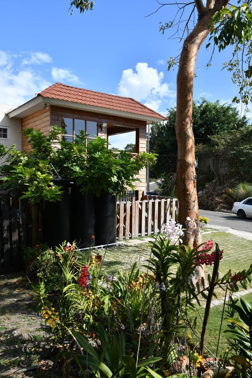Natural landscape, Garden view