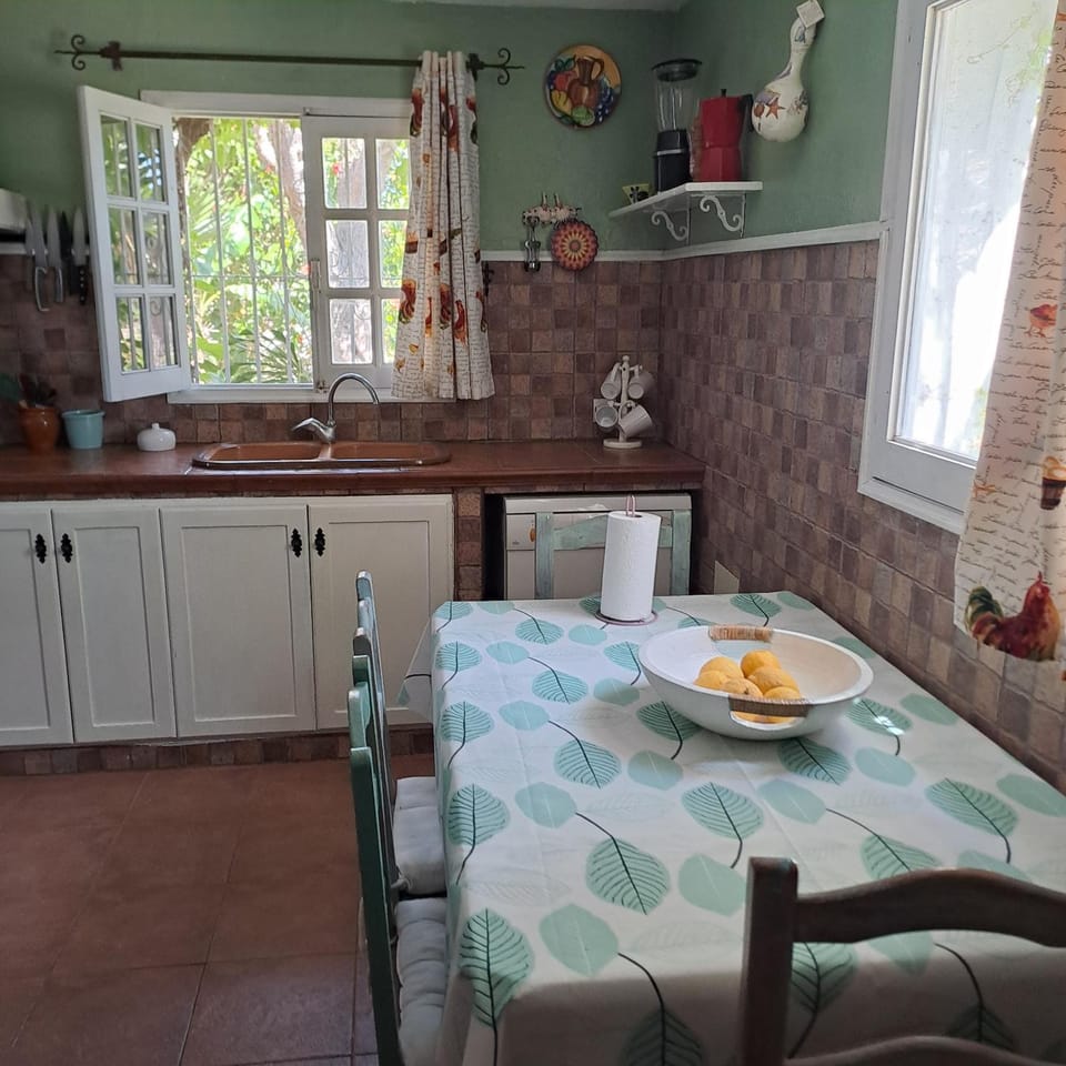 bambú House in La Janda