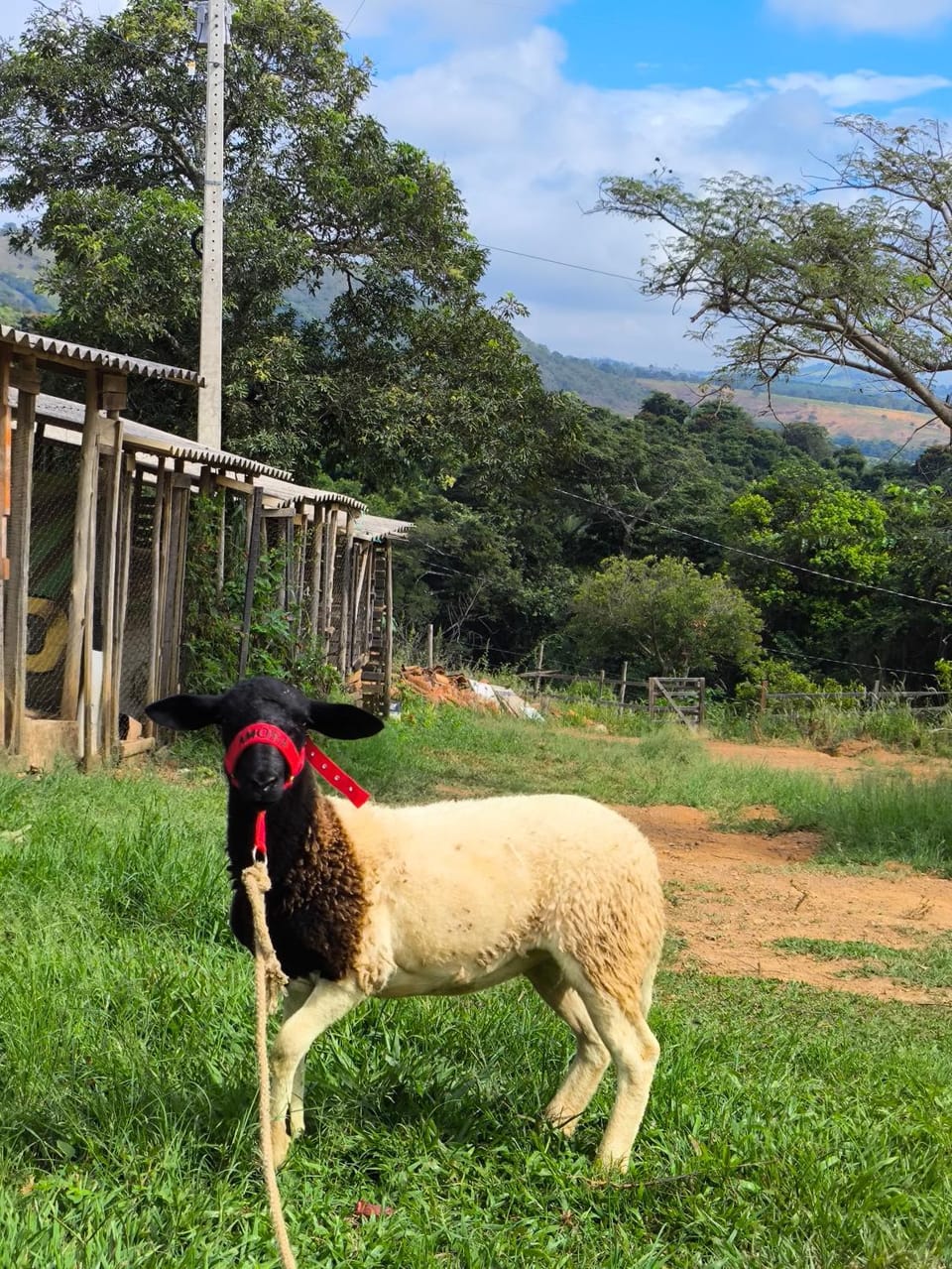Pousada Mirante dos Ipês - Experiência Rural em Capitólio Inn in State of São Paulo