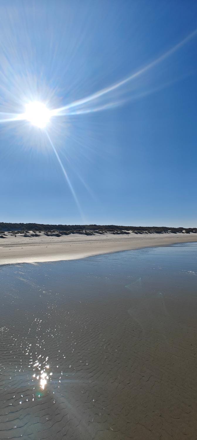 Pension Bakema Ameland Bed and Breakfast in Nes