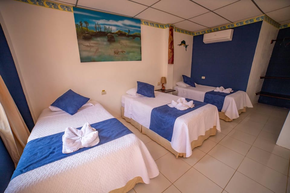 Bed, Photo of the whole room, towels