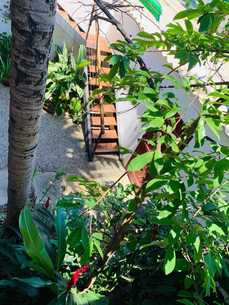 Garden, Garden view