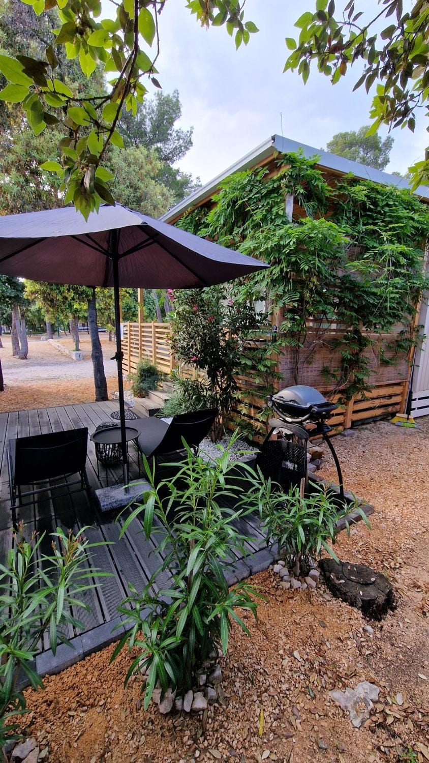 Garden view