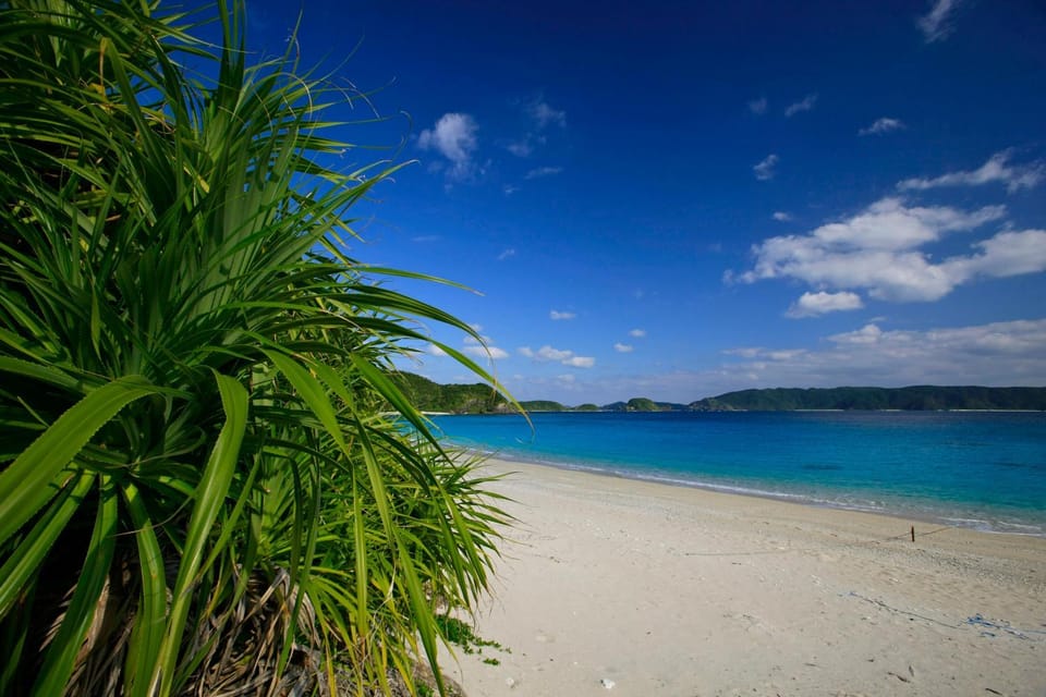 Natural landscape, Beach