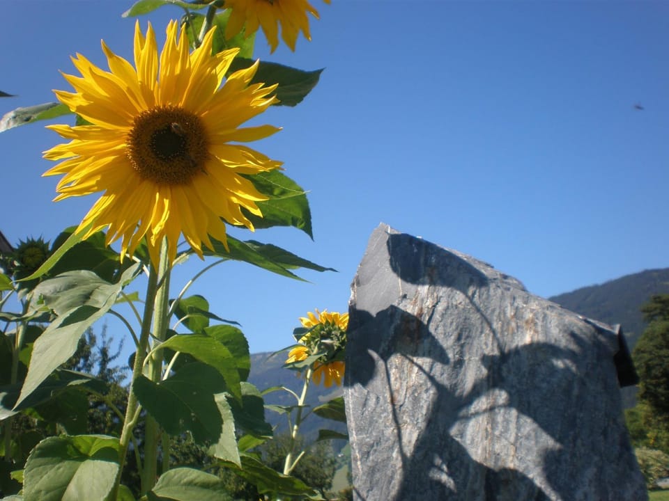 Natural landscape
