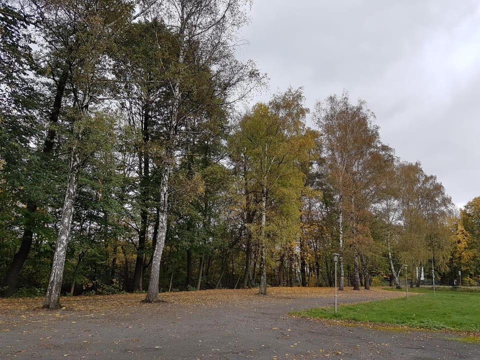Neighbourhood, Natural landscape