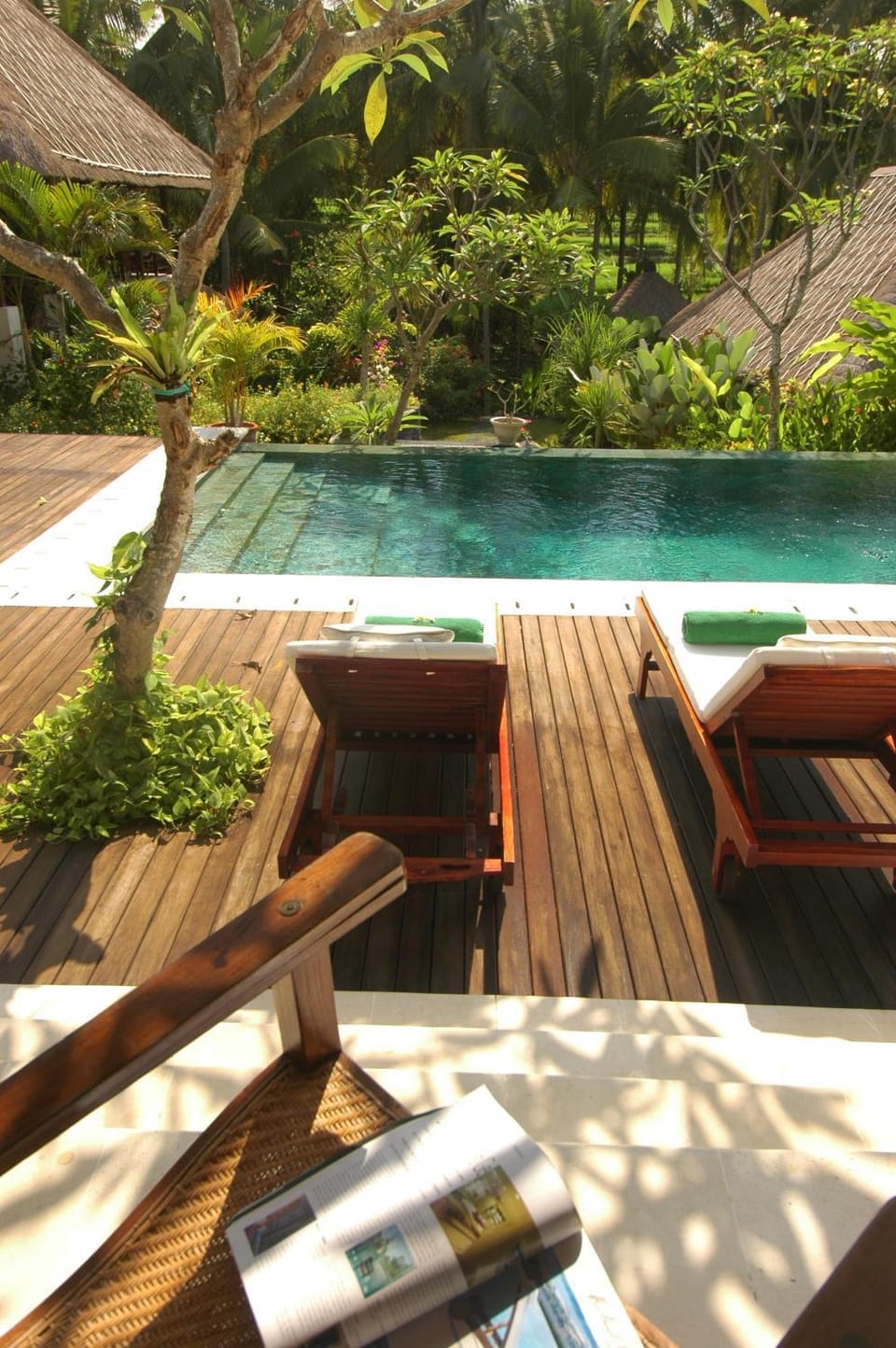Natural landscape, Pool view