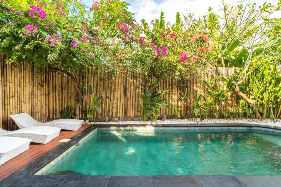 Patio, Day, Garden, Garden view, Pool view, Swimming pool, Swimming pool, sunbed