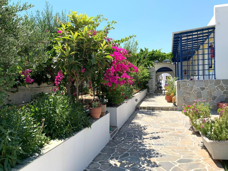 Inner courtyard view