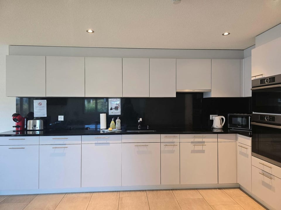Kitchen or kitchenette, dishwasher, stove, toaster