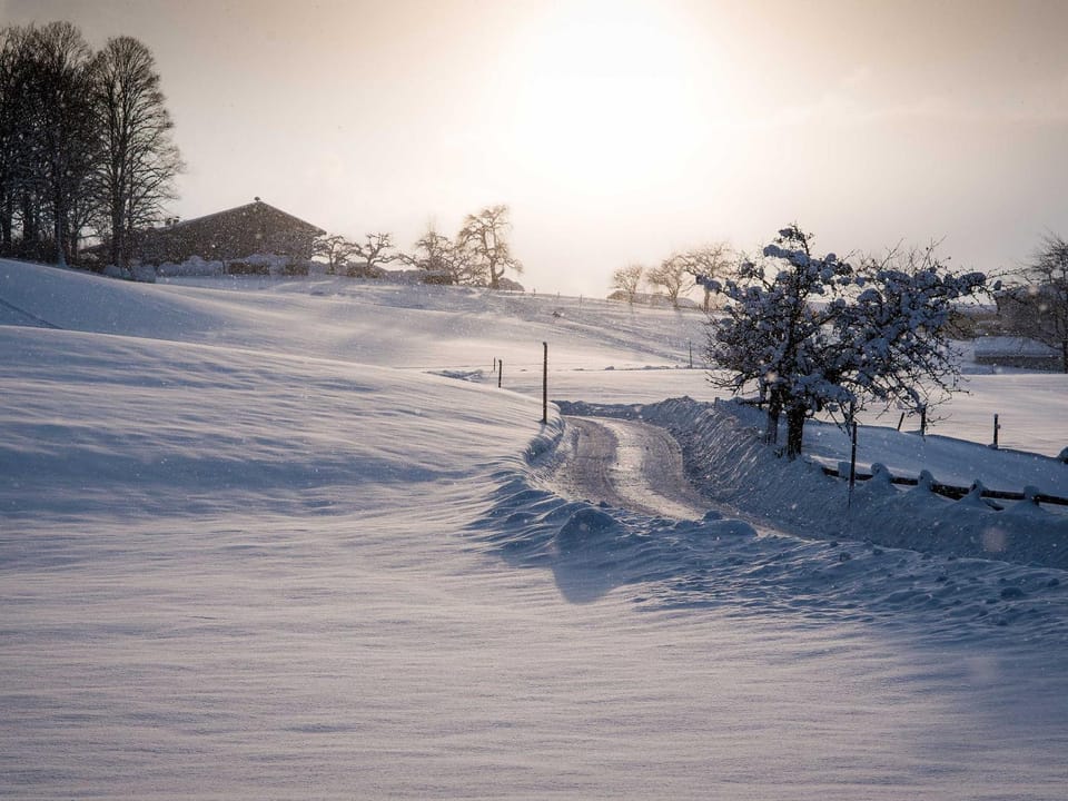 Staff, Winter
