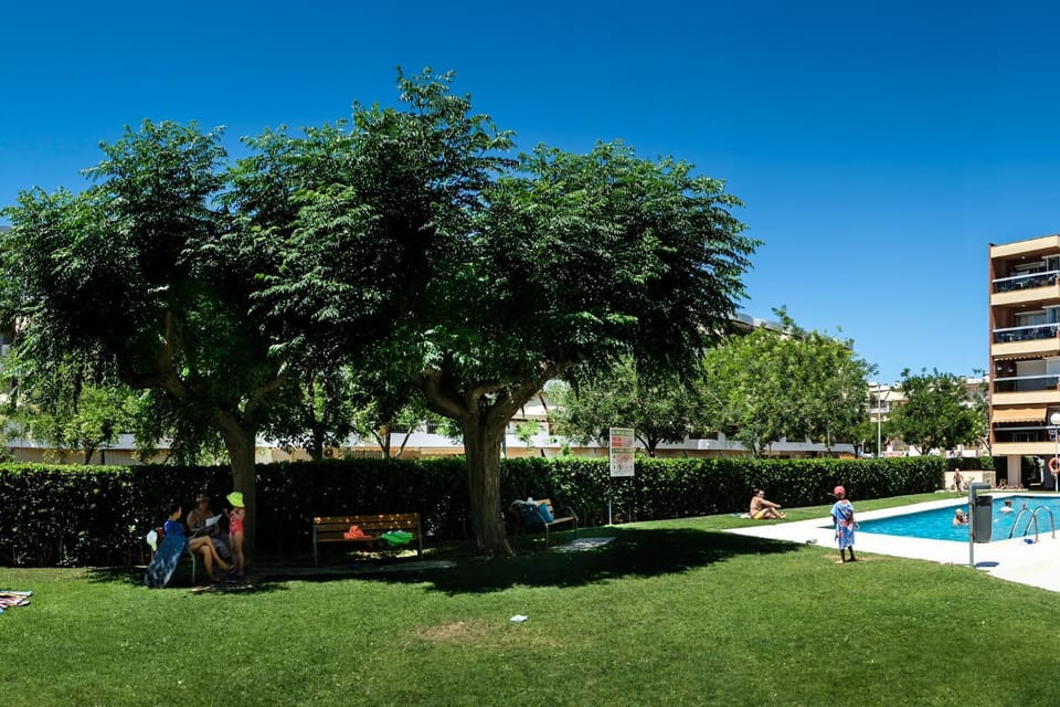 Garden, Area and facilities, Swimming pool, Swimming pool