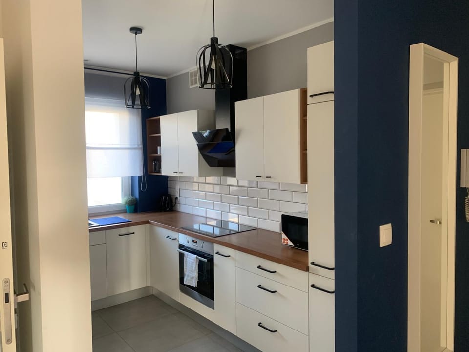 Kitchen or kitchenette, dishwasher, oven, stove