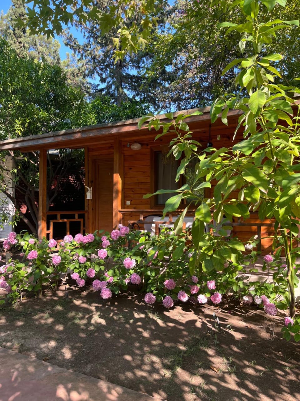 Adabella Pension Bed and Breakfast in Antalya Province