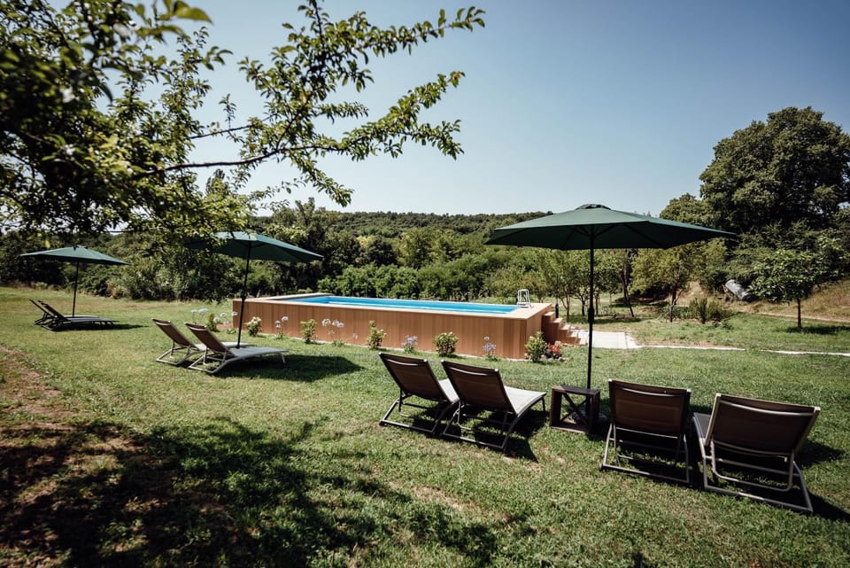 Natural landscape, Garden, Swimming pool