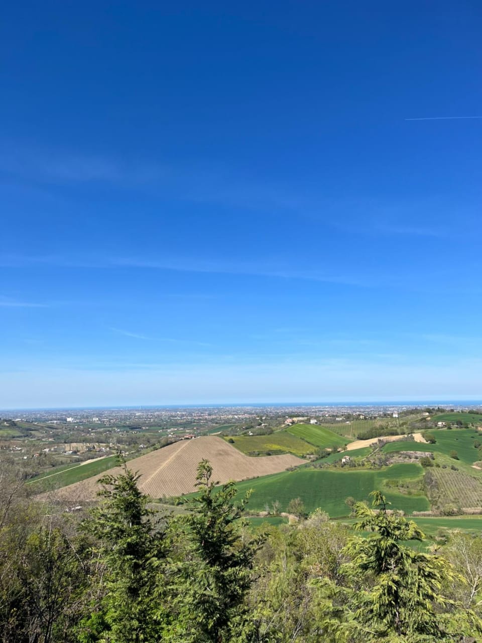 Il Castellaro Bed and Breakfast in Emilia-Romagna