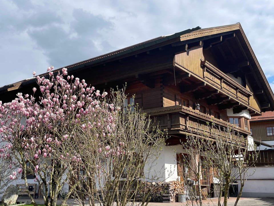 Haus Billinger Apartment in Bavaria