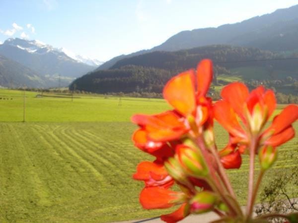 Haus Bianca Apartment in Tyrol