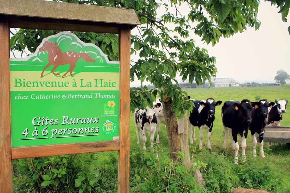 Property logo or sign