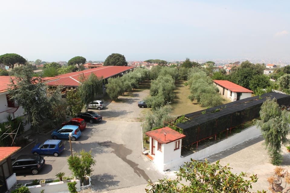 Property building, Day