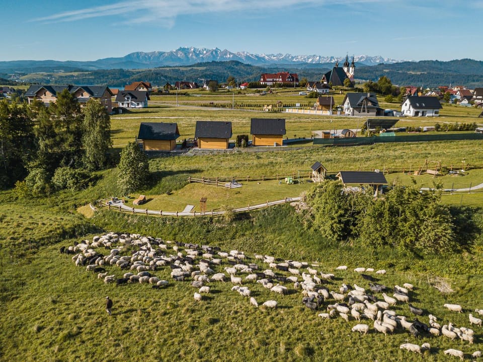 Off site, Bird's eye view, View (from property/room), Animals, Garden view, Lake view, Mountain view, Quiet street view