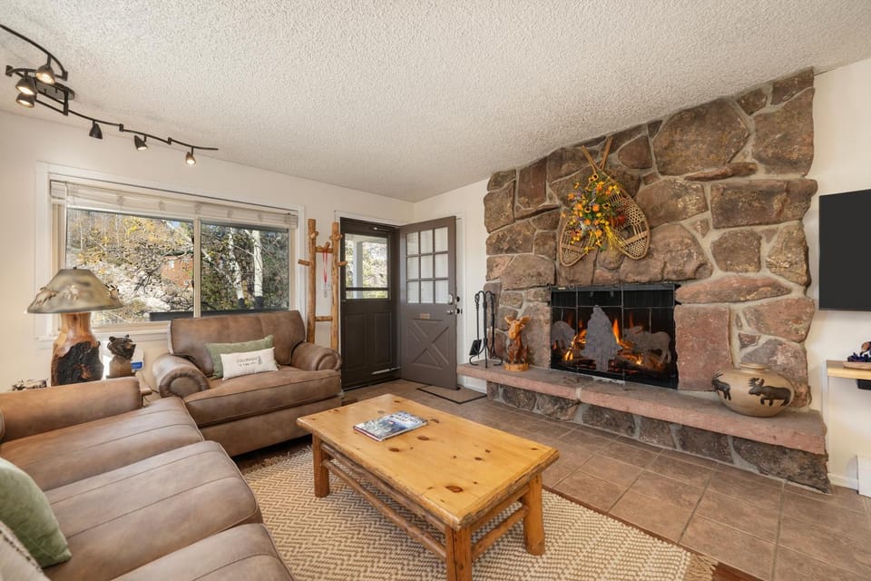 Day, TV and multimedia, Living room, fireplace, furniture