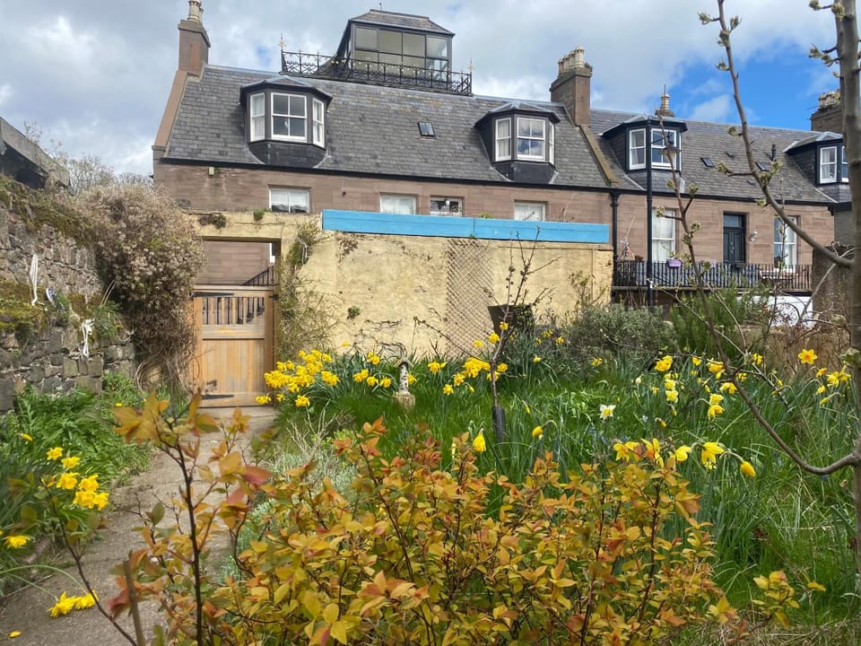 Bamse Self-Catering Ensuite Rooms with Shared Kitchen Bed and Breakfast in Scotland