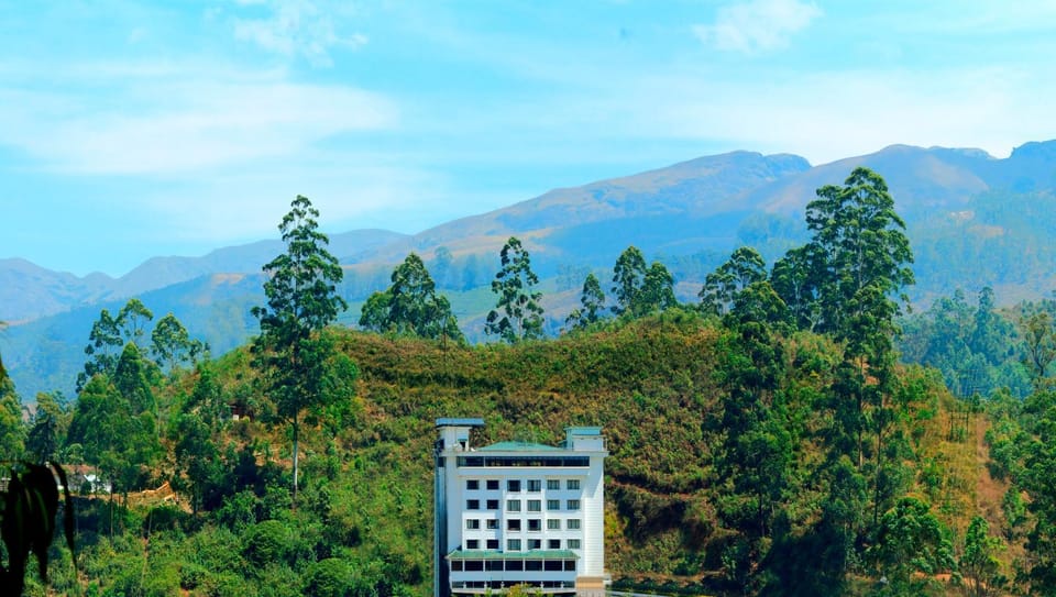 Mountain view