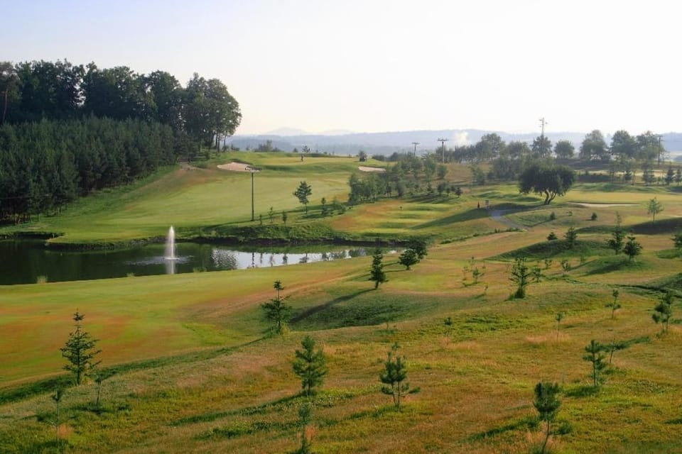 Golfcourse