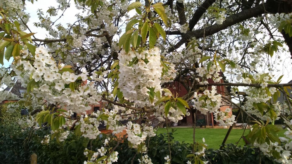 Garden, Garden view