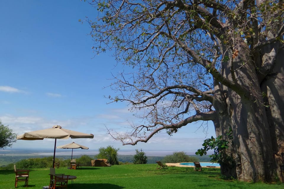 Day, Garden, On site, Swimming pool