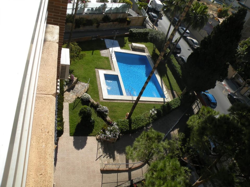 Bird's eye view, Garden, Pool view