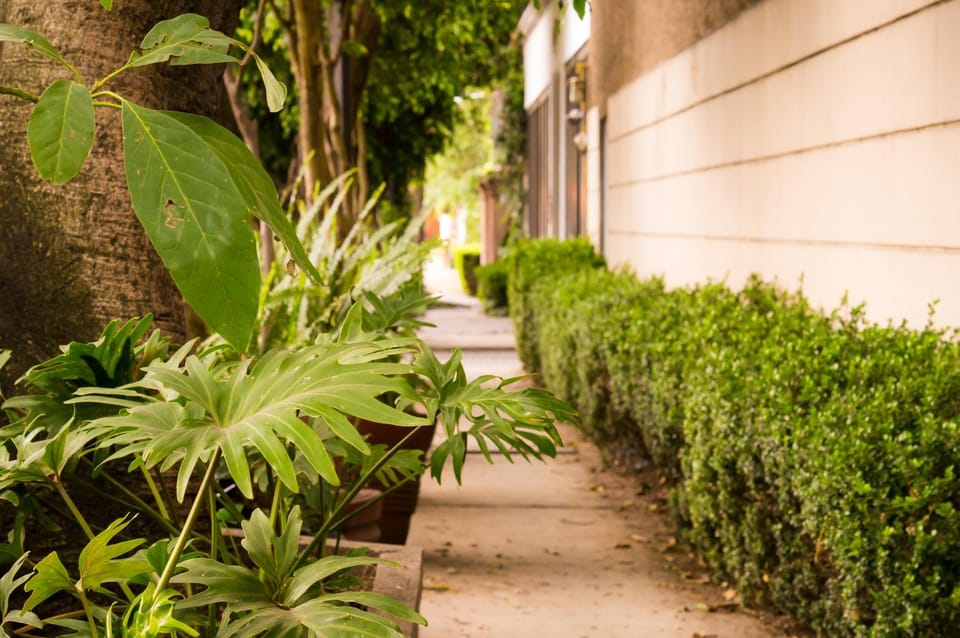 Suite 1-A Monasterio Garden House Welcome to San Angel Apartment in Mexico City