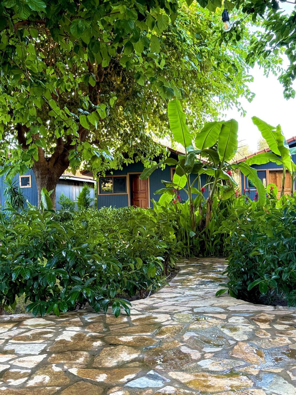 Çıralı Nun Bungalove Bed and Breakfast in Antalya Province