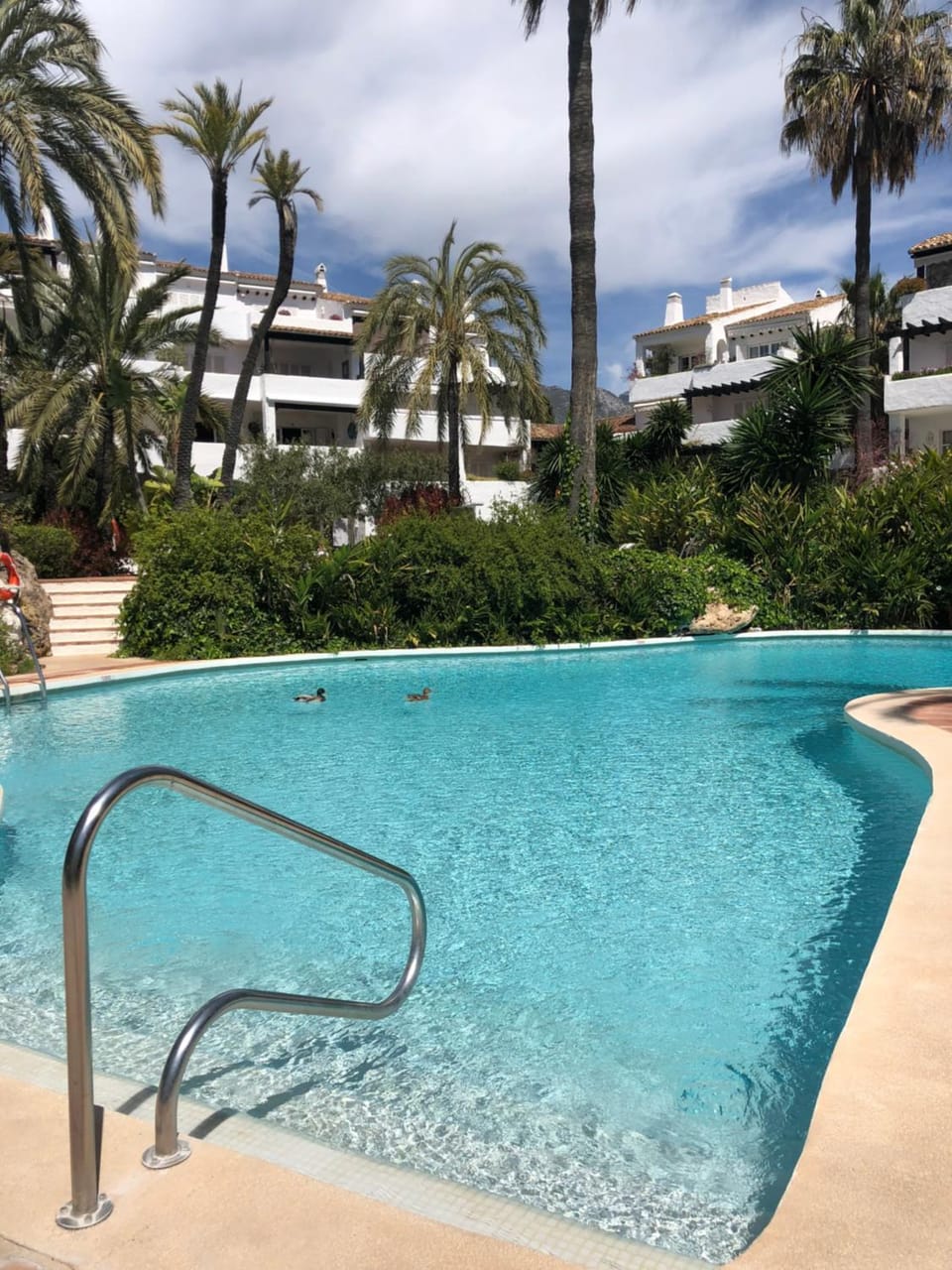 Swimming pool
