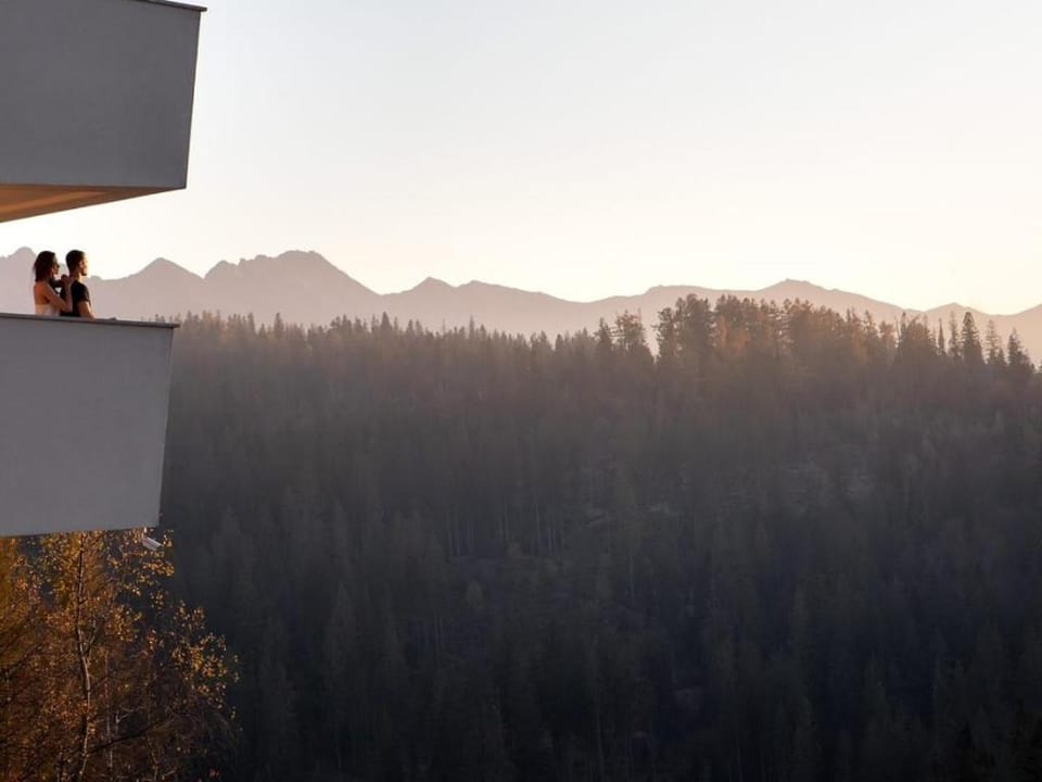 Hotel HARNAŚ dla dorosłych z widokiem na Tatry - Adults only Hotel in Lesser Poland Voivodeship