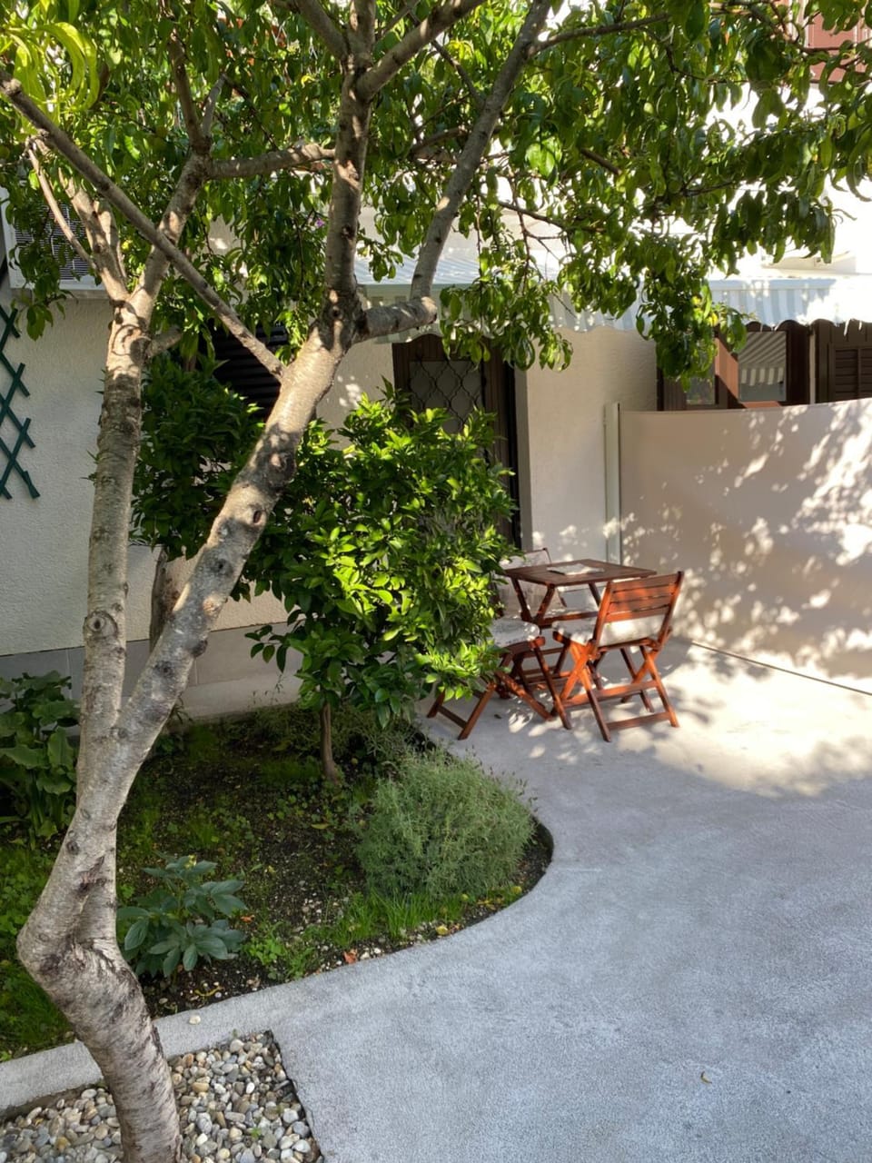 Sara Apartments Baska Voda Apartment in Baška Voda