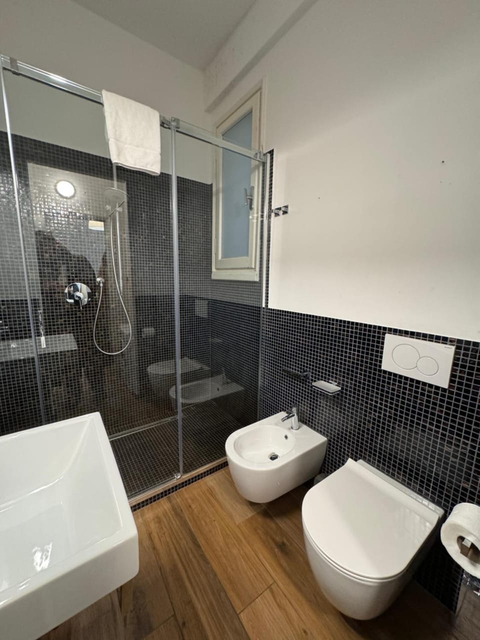 Shower, Toilet, bidet