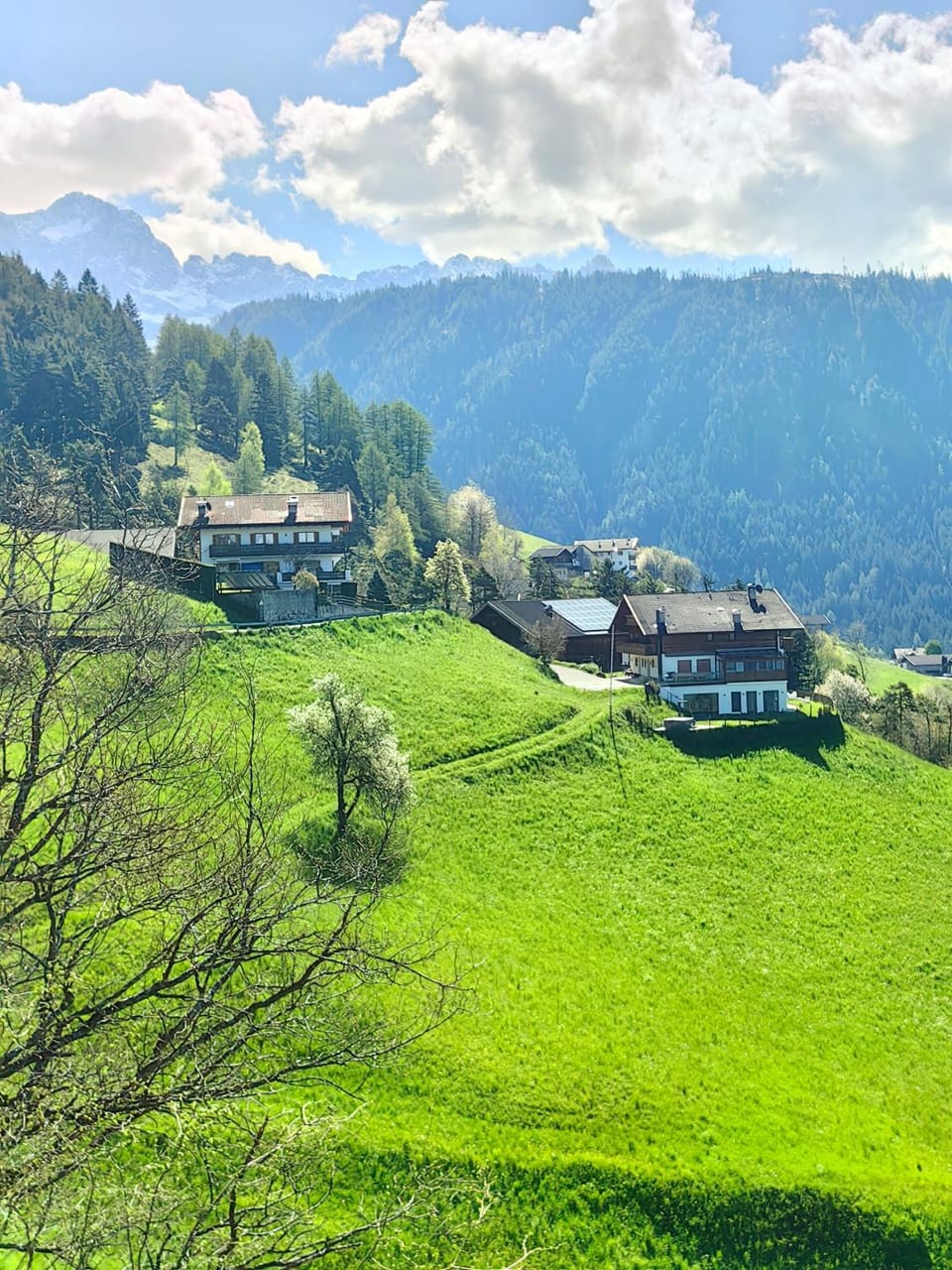 Natural landscape