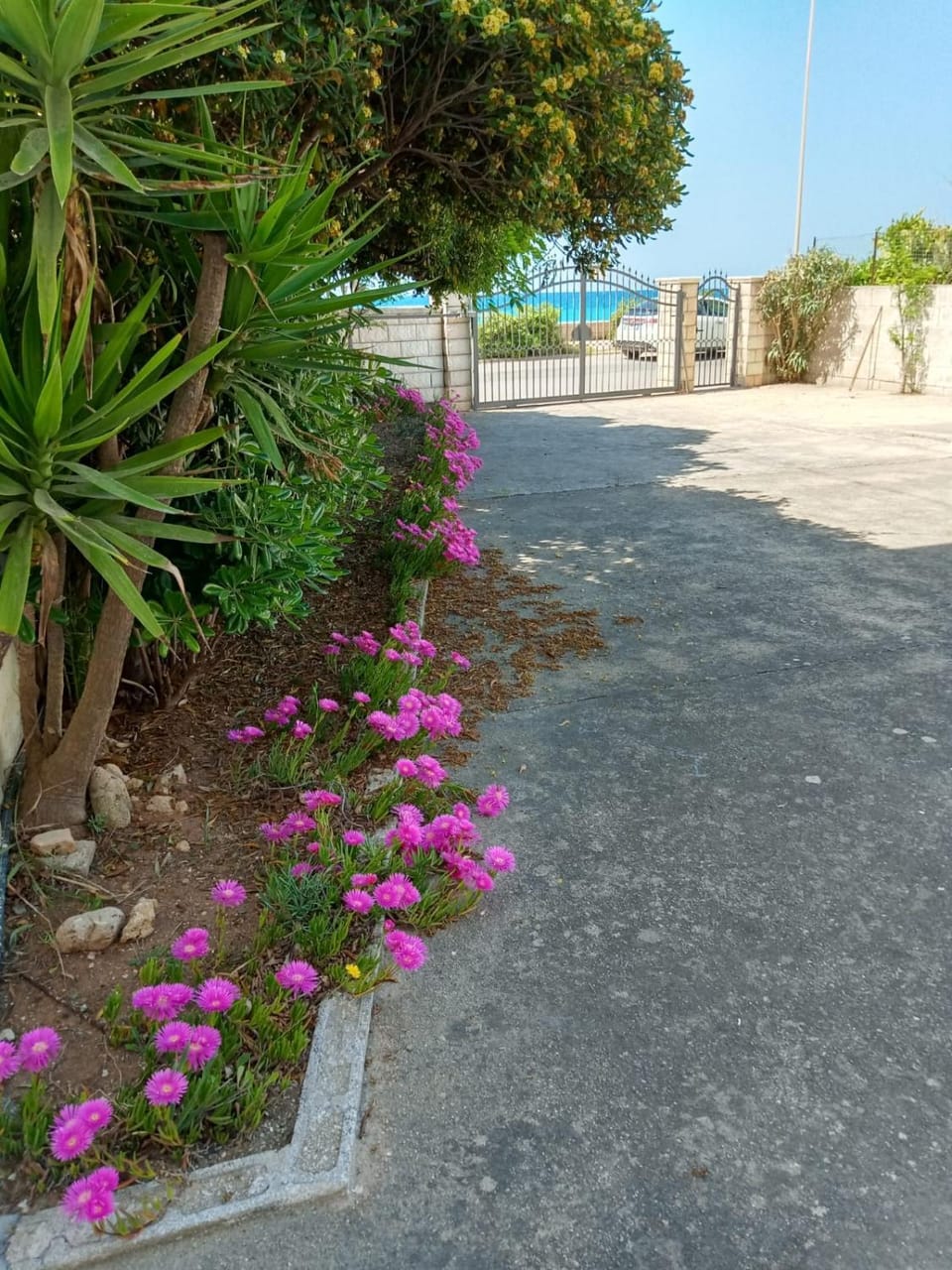 Villa 20 m.dal mare Villa in Torre Vado