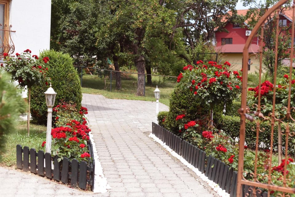 Apartmani Boss Apartment in Serbia