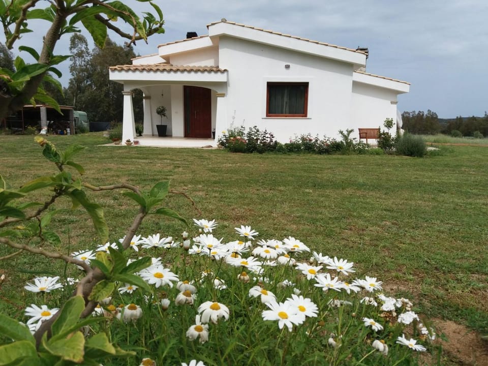 Property building, Spring, Day, Garden, Garden view