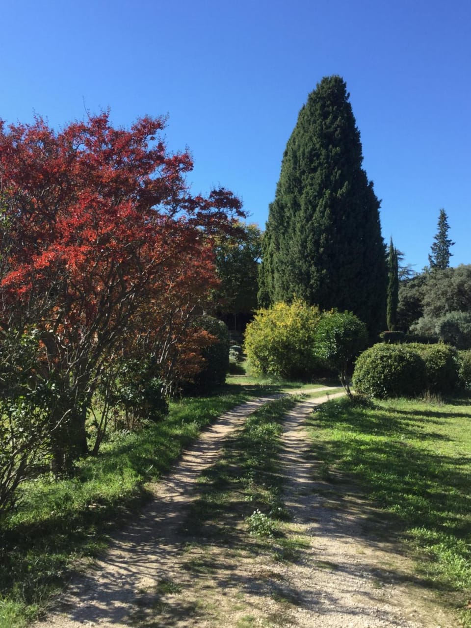Autumn, On site, Garden view
