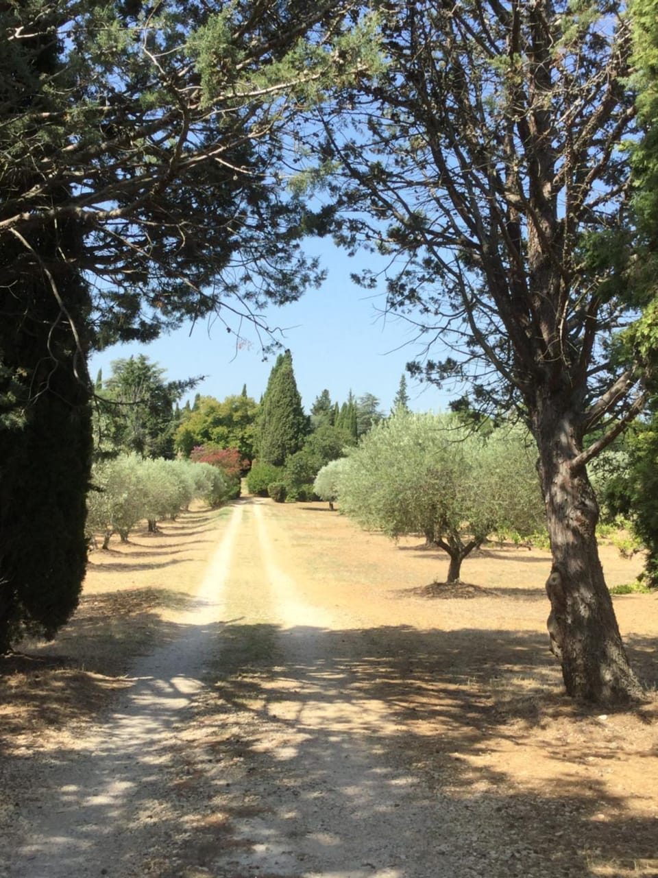Facade/entrance, Day, Natural landscape, Summer, Garden, Hiking, Garden view