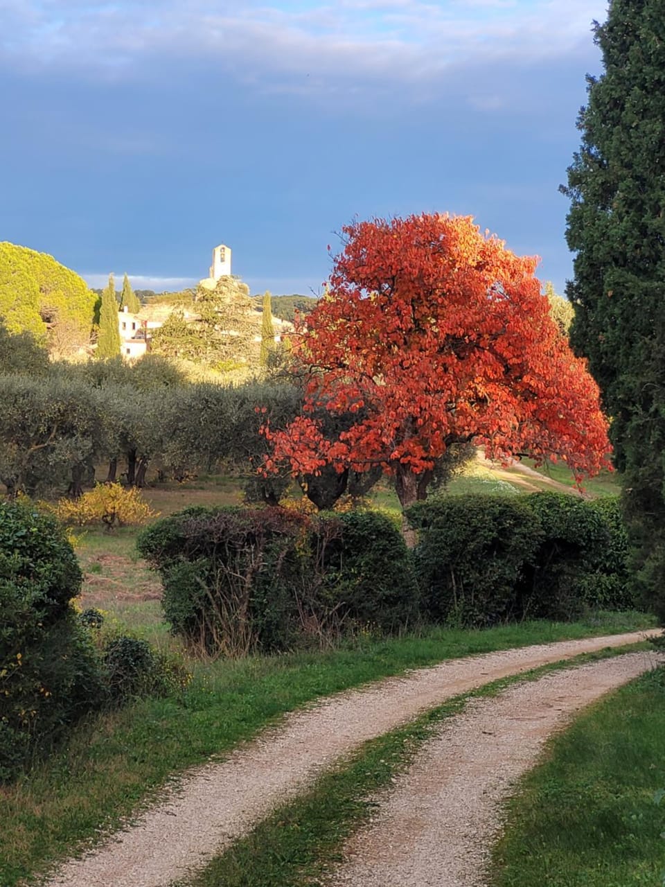 Neighbourhood, Natural landscape, Garden, Hiking, City view, Garden view, Street view