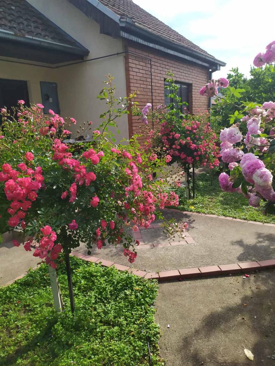 Property building, Garden, Garden view