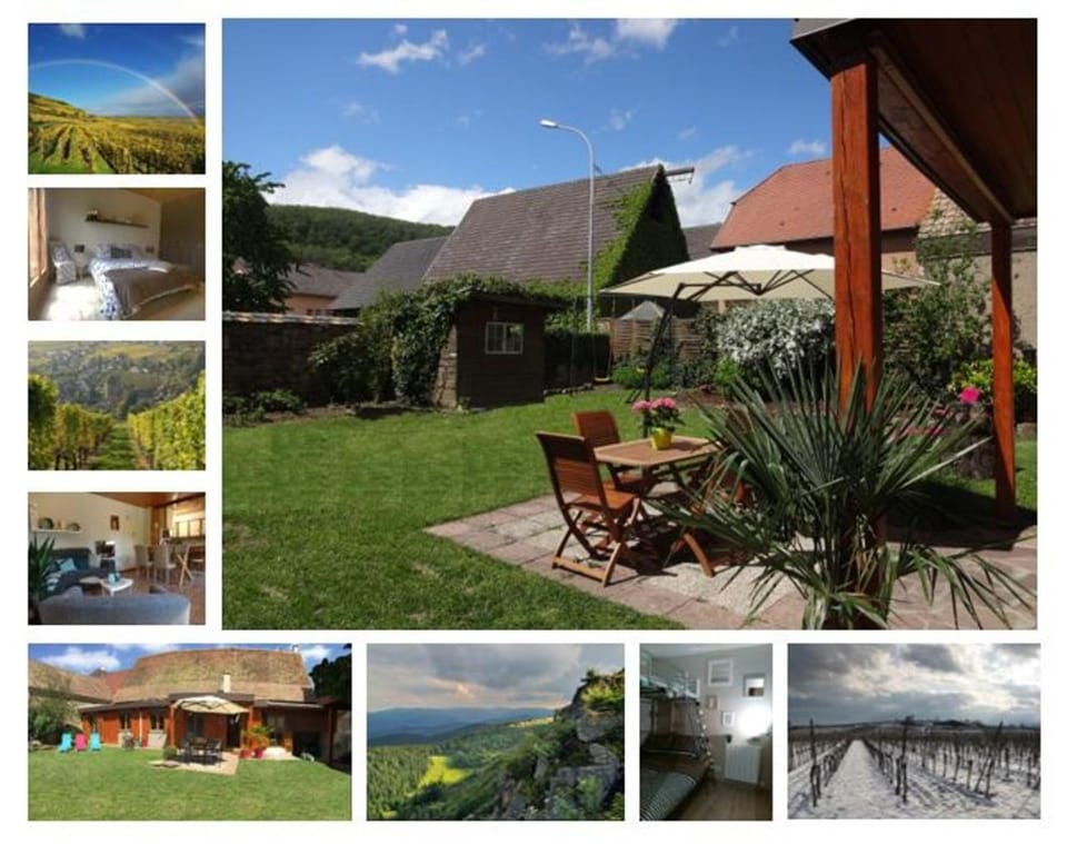 Patio, Facade/entrance, Garden, Garden view